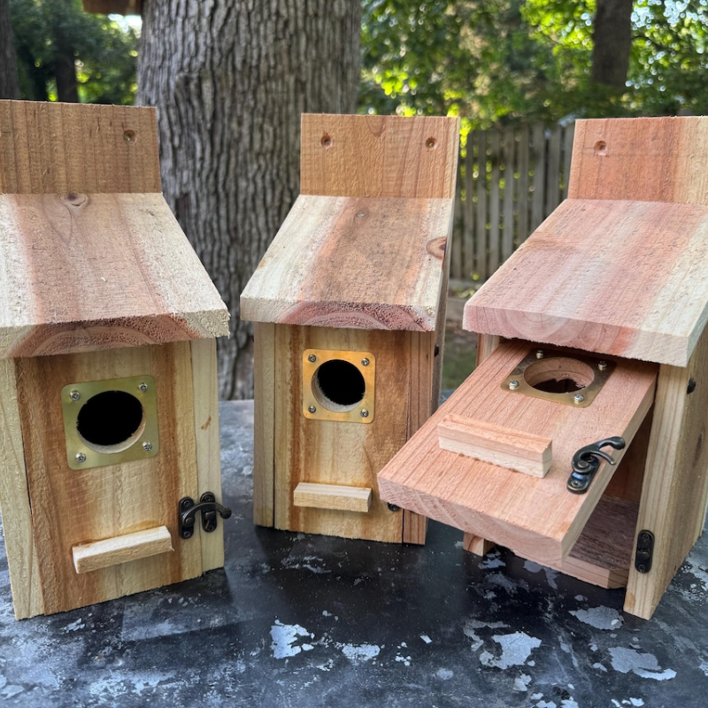 Cedar Bird House with Predator Guard